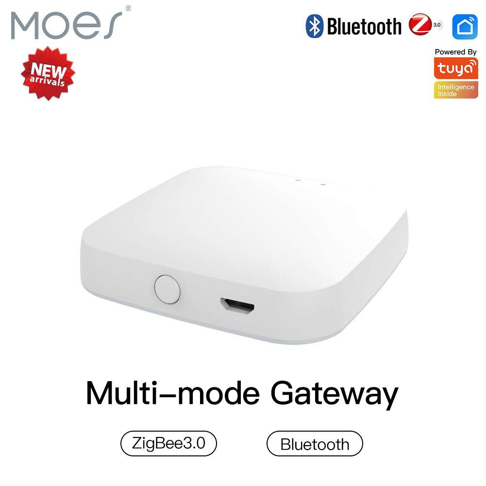 Smart Home Hub Matter - بوابة ذكية متعددة الأوضاع ، زيجبي